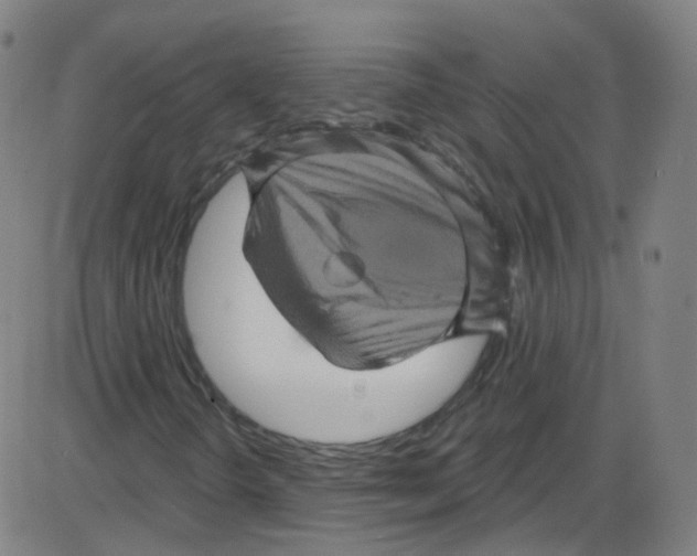 X0000084051298200703161846