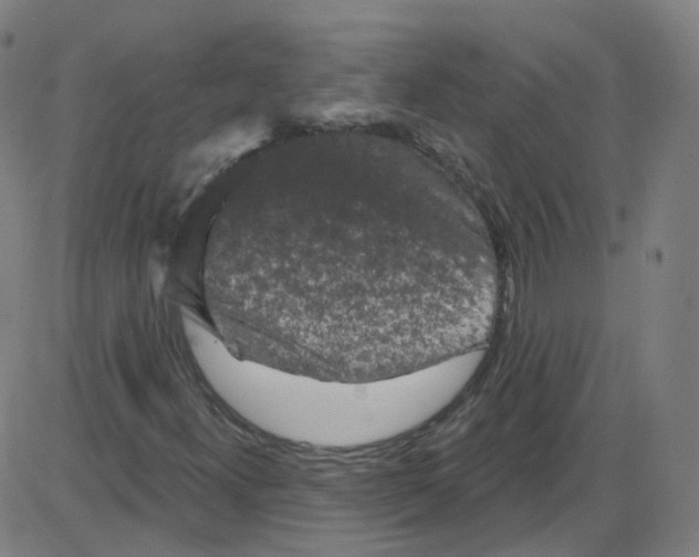 X0000084051300200703161846