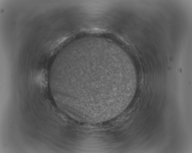 X0000084051301200703161846