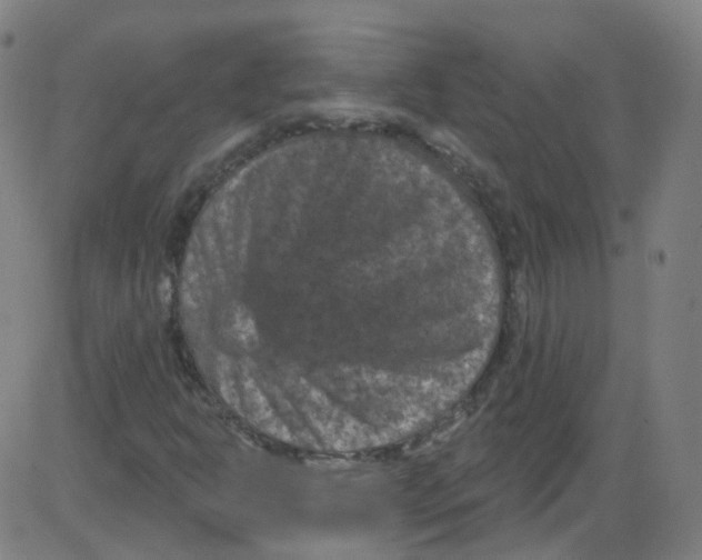 X0000084051302200703161846