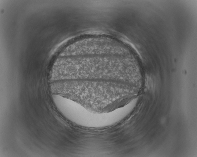 X0000084051304200703161846