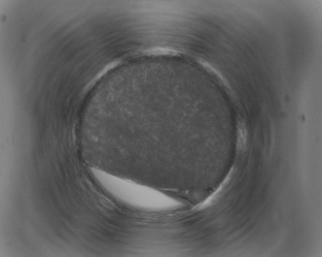 X0000084051305200703161846