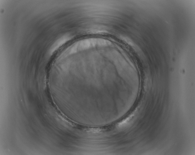 X0000084051306200703161846