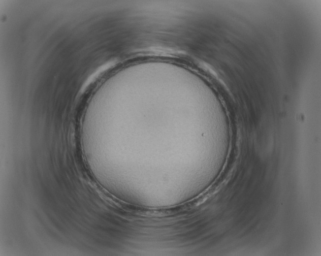 X0000084051307200703161846