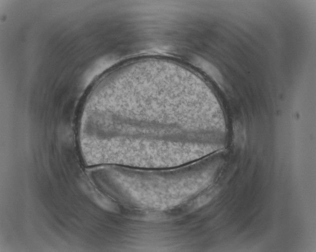 X0000084051308200703161846