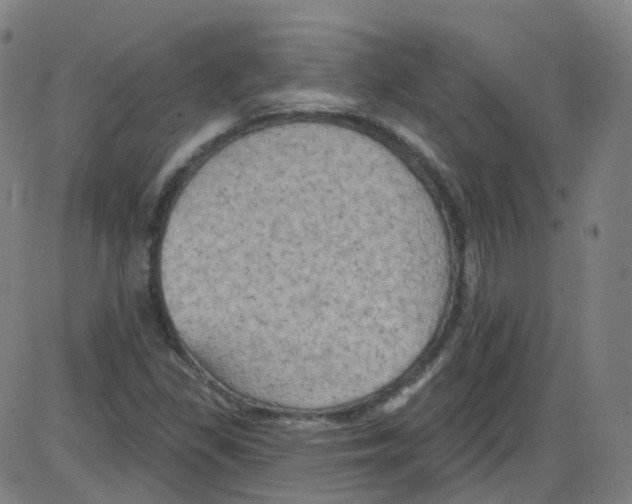 X0000084051309200703161846