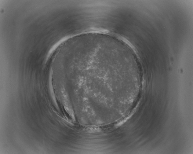 X0000084051310200703161846