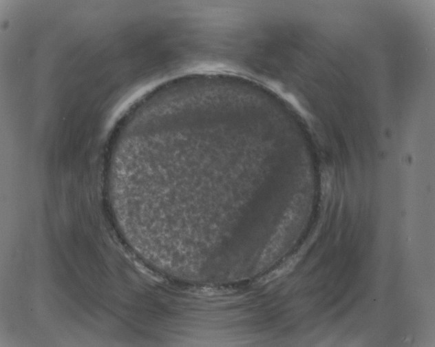 X0000084051311200703161846