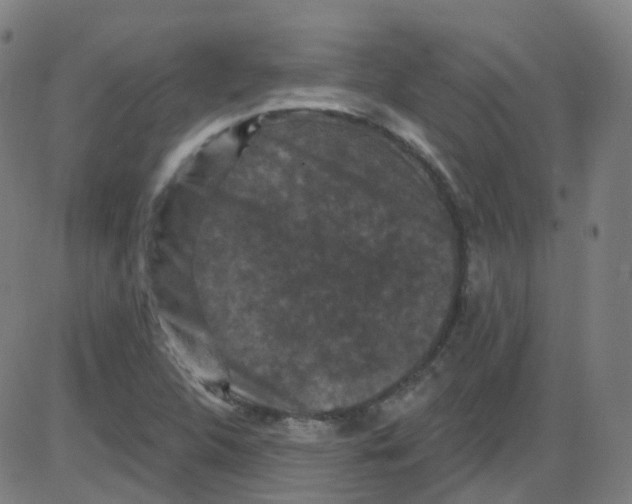 X0000084051312200703161847