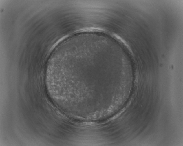 X0000084051313200703161847