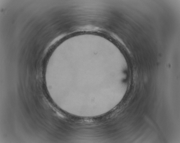 X0000084051315200703161847