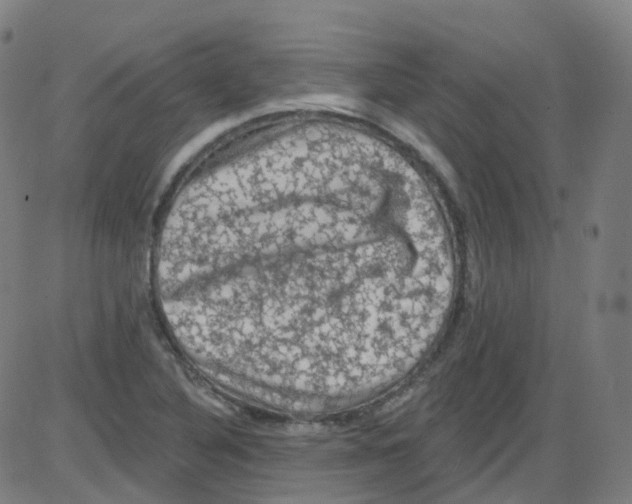 X0000084051316200703161847