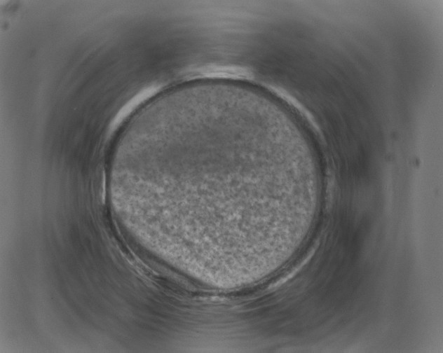 X0000084051317200703161847