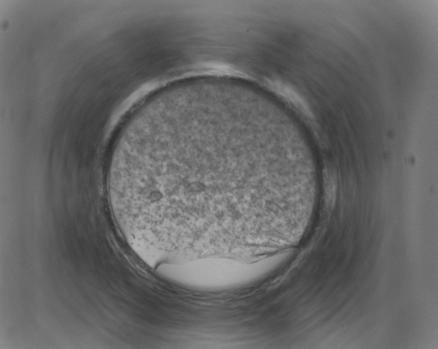 X0000084051318200703161847