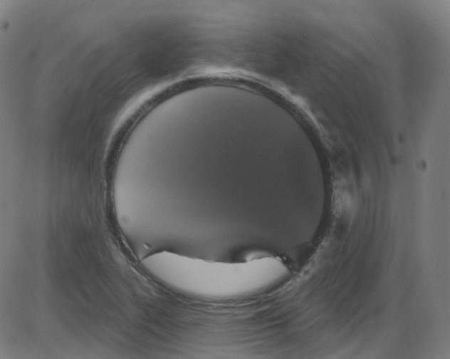 X0000084051319200703161847