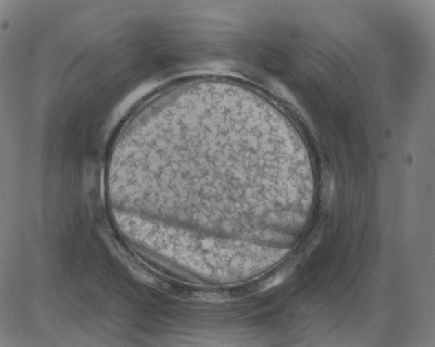 X0000084051320200703161847