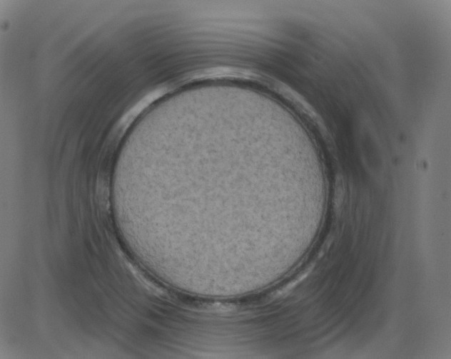 X0000084051321200703161847