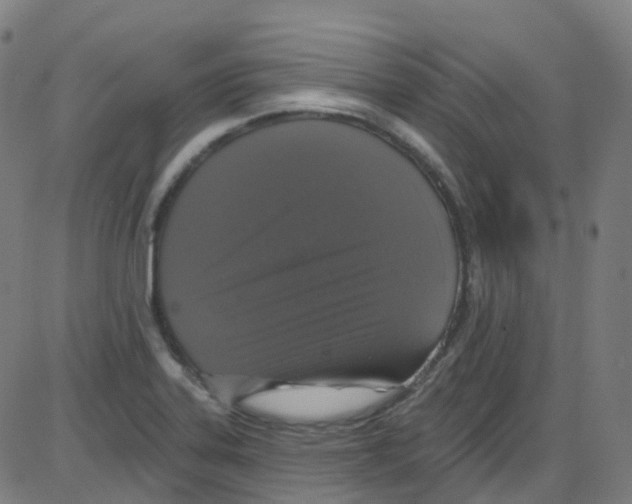 X0000084051323200703161847