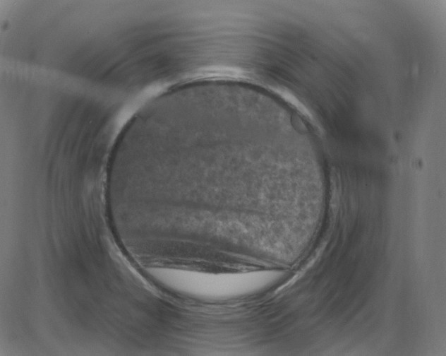 X0000084051325200703161847