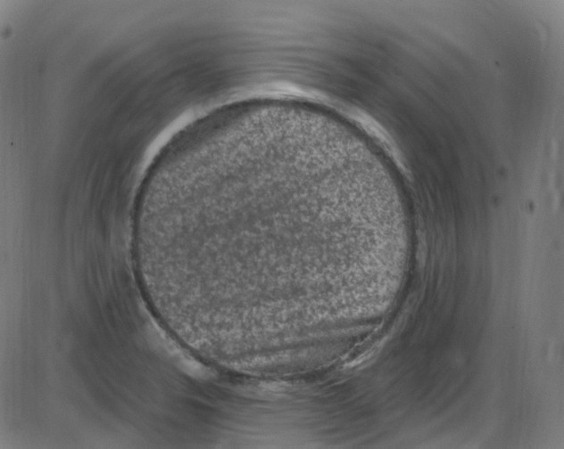 X0000084051326200703161847