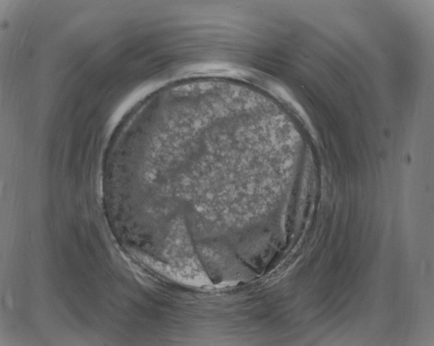 X0000084051328200703161847