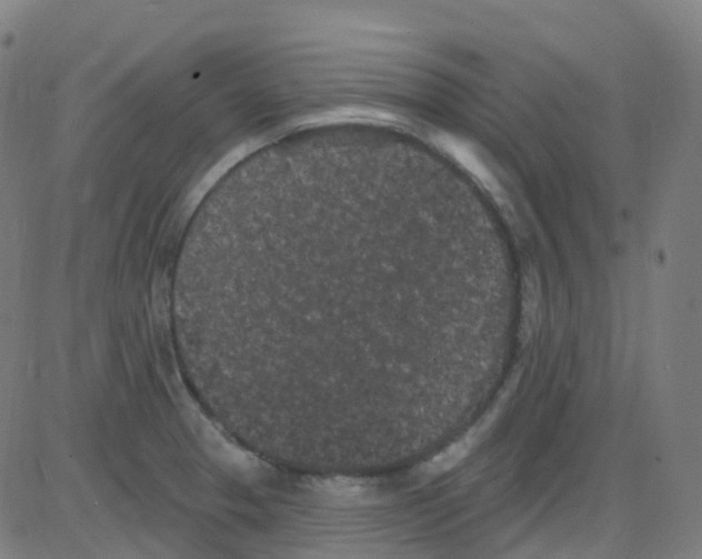 X0000084051329200703161847