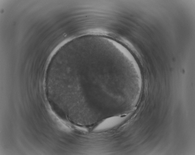 X0000084051331200703161847