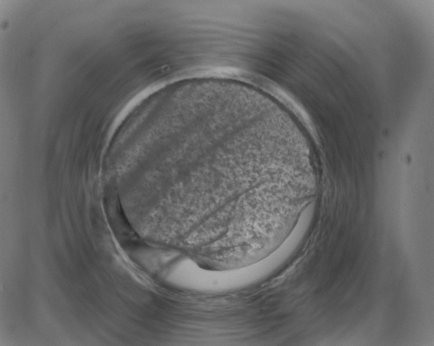 X0000084051332200703161847