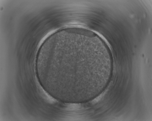 X0000084051333200703161847