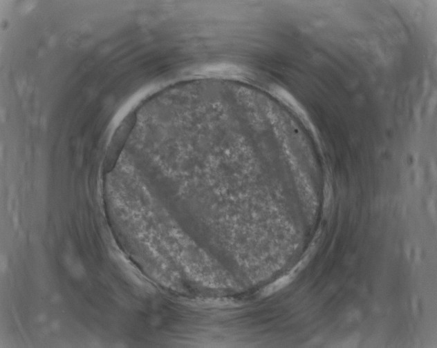 X0000084051336200703161847