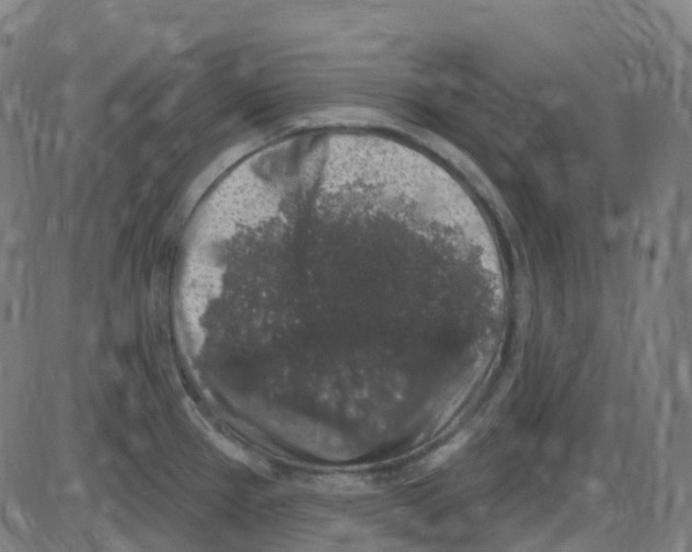 X0000084051337200703161847