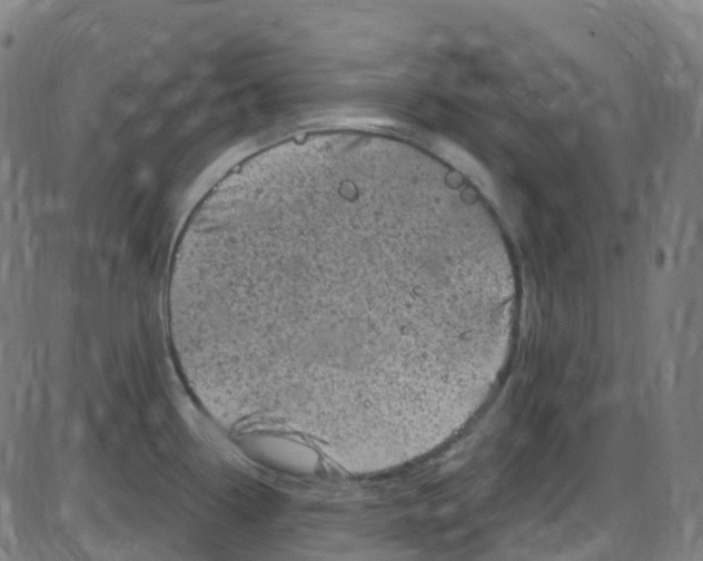 X0000084051338200703161847