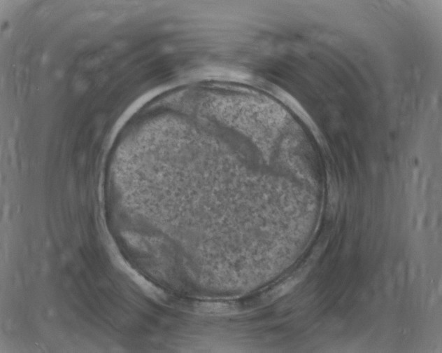 X0000084051339200703161847