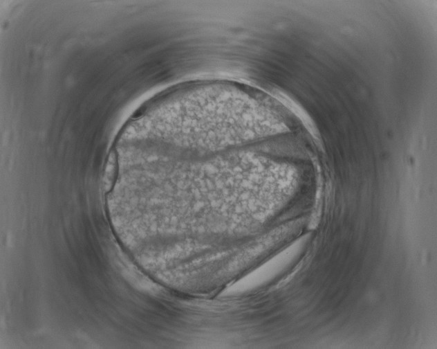 X0000084051340200703161847