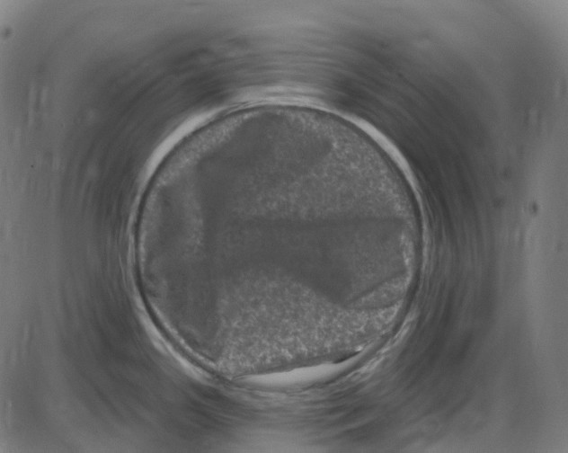 X0000084051341200703161847