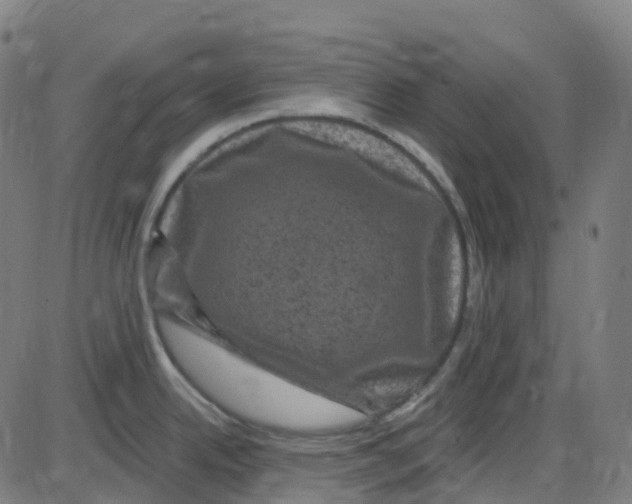 X0000084051342200703161847