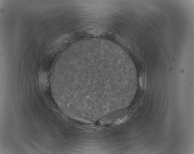 X0000084051347200703161846