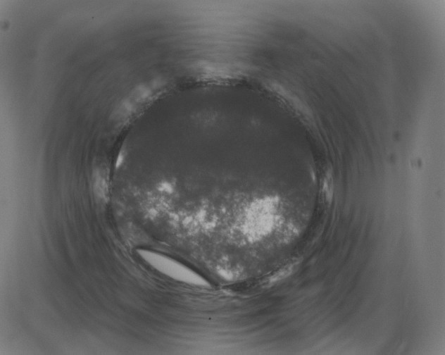 X0000084051348200703161846