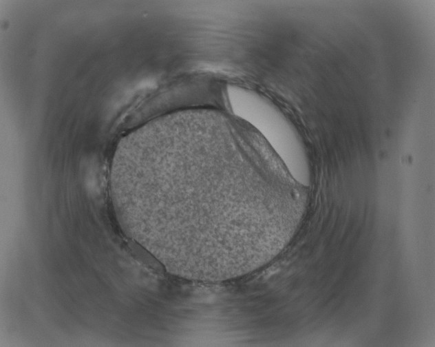 X0000084051349200703161846