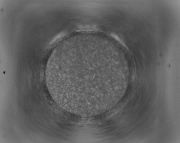 X0000084051350200703161846