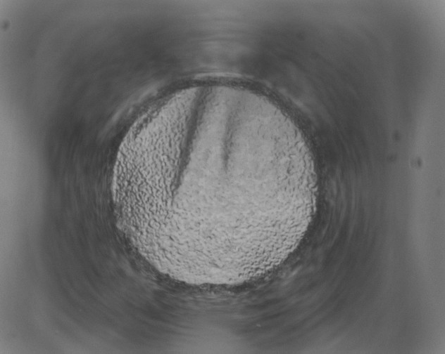 X0000084051351200703161846