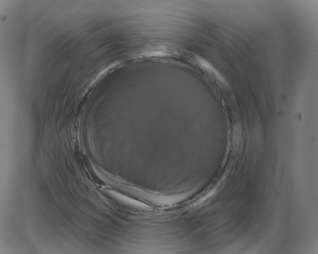 X0000084051353200703161846