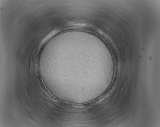 X0000084051354200703161846