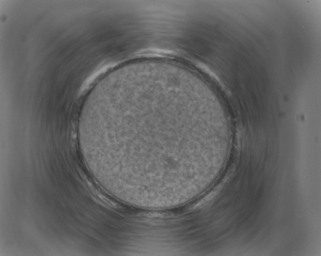 X0000084051355200703161846