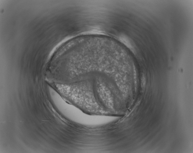 X0000084051356200703161846