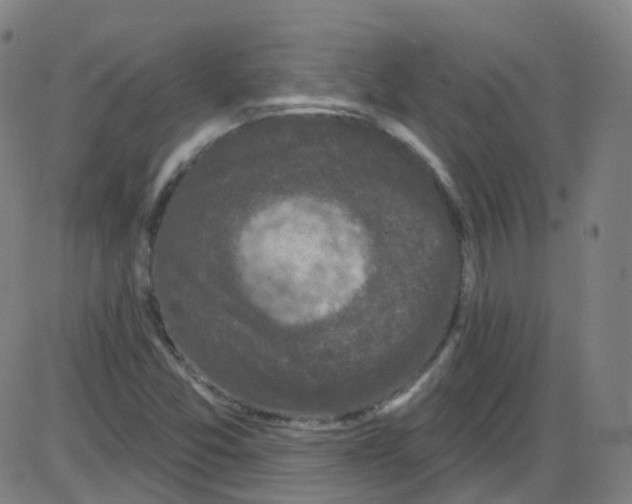 X0000084051357200703161846