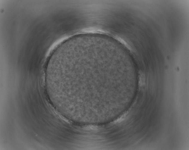 X0000084051358200703161846