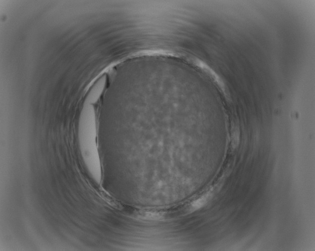 X0000084051361200703161846