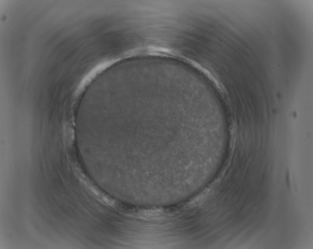 X0000084051363200703161846