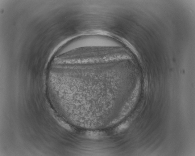 X0000084051364200703161846